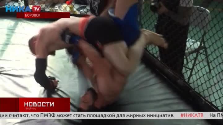 Проект смешанные единоборства