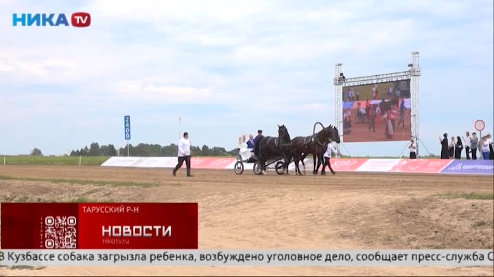 Бладгельд 2023 фестиваль орла. Фестиваль саней в тарусе. Фестиваль орловского рысака 2024 таруса. Фестиваль орловского рысака 2024 таруса. Бладгельд 2023 фестиваль орла.